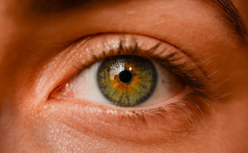 Oczy to wyrafinowany organ. To otóż to dzięki nim doświadczamy.